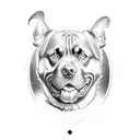 rottweiler  tattoo design idea