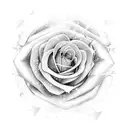 gemini star rose  tattoo design idea