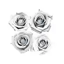 gemini rose  tattoo design idea