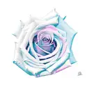 gemini rose tattoo design idea