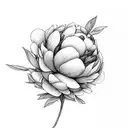 A library shelf filled with books and peonies intertwined tattoo design idea