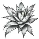 agave plant tattoo design idea