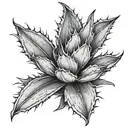 agave plant tattoo design idea