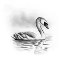 swan tattoo design idea