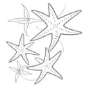 starfish inside a delicate graphic design inspired tattoo tattoo design idea