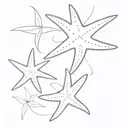 starfish inside a delicate graphic design inspired tattoo tattoo design idea