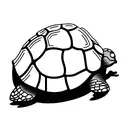 tortoise galapagos coordinates tattoo design idea