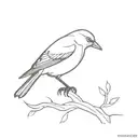 blackbird tattoo design idea