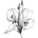 dragonfly of poppies callaliles gladiolus carnations snowdrops with date August 21 2017 on stems , wedding rings on the  tattoo design idea