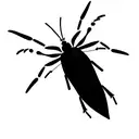 box elder bug tattoo design idea