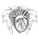 Anatomically correct cat heart with scientific equations around it tattoo design idea