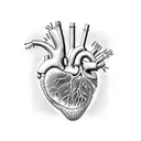 Anatomically correct cat heart with scientific equations around it tattoo design idea