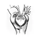 Anatomically correct cat heart with scientific equations around it tattoo design idea