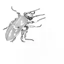 beetle tattoo design idea