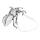 beetle tattoo design idea