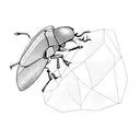 beetle tattoo design idea