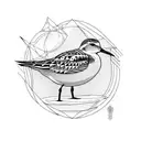 sandpiper tattoo design idea