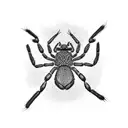 anansi spider  tattoo design idea