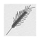  wheat spike tattoo design idea