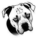 cane Corso pit bull mix black with white chest. 140lbs tattoo design idea