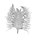 Fern Tree tattoo design idea