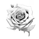 A black and grey rose intertwined with the Superman symbol tattoo design idea