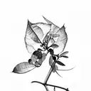 eucalyptus and Italian ruscus tattoo design idea