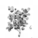 eucalyptus and Italian ruscus tattoo design idea
