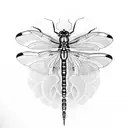 dragonfly tattoo design idea