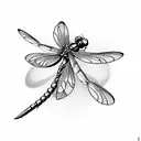 dragonfly tattoo design idea