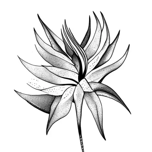 Bird of Paradise tattoo design idea