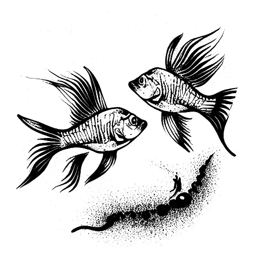 two goldfish on the stomach  tattoo design idea