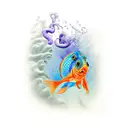 goldfish tattoo design idea