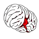 Brain tattoo design idea