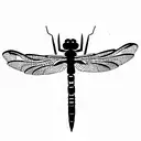 Dragonfly tattoo design idea