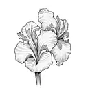 iris parfum tattoo design idea