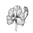 iris parfum tattoo design idea