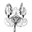 iris plants tattoo design idea
