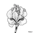 iris plants tattoo design idea