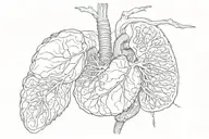 anatomically correct organs   tattoo design idea