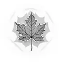 Maple Leaf tattoo design idea