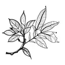lineart blueberry branch tattoo design idea