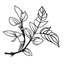 lineart blueberry branch tattoo design idea