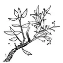 lineart blueberry branch tattoo design idea