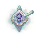 dmt magic mushrooms mescaline psychedelics  tattoo design idea