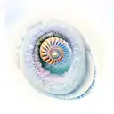 A nautilus shell floating in a sea of crystals tattoo design idea