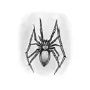 spider spine  tattoo design idea