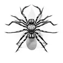 spider spine  tattoo design idea