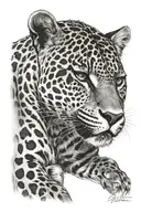 a jaguar tattoo design idea