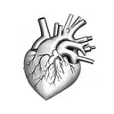 anatomic heart, with bullet hole in the middle tattoo design idea